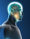 Brain neurons synapse head profile Royalty Free Stock Photo
