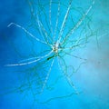 Brain, neurons, synapses, neural network, degenerative diseases, Parkinson Royalty Free Stock Photo