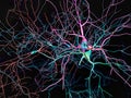 Brain, neurons, synapses, neural network, degenerative diseases, Parkinson Royalty Free Stock Photo