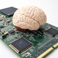 Brain with PCB design representing AI Royalty Free Stock Photo