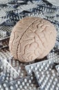 Brain with pills Royalty Free Stock Photo