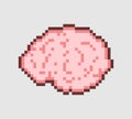 Brain pixel art 8 bit. Brains pixelated. vector illustration