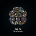 Brain - pixel illustration.