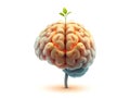 Brain with Plant Growing Ã¢â¬\' Growth Mindset Concept Royalty Free Stock Photo