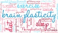 Brain Plasticity Word Cloud Royalty Free Stock Photo