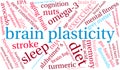 Brain Plasticity Word Cloud Royalty Free Stock Photo