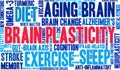 Brain Plasticity Word Cloud Royalty Free Stock Photo