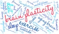 Brain Plasticity Word Cloud