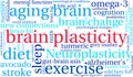 Brain Plasticity Word Cloud Royalty Free Stock Photo