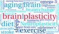 Brain Plasticity Word Cloud