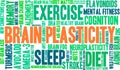 Brain Plasticity Word Cloud