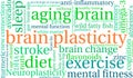 Brain Plasticity Word Cloud Royalty Free Stock Photo
