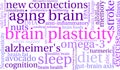 Brain Plasticity Word Cloud Royalty Free Stock Photo