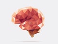 Brain poly faceted Royalty Free Stock Photo