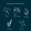 Brain power-boosting herbs set