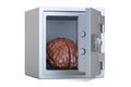 Brain protected in the safe, 3D rendering
