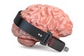 Brain with seatbelt, 3D rendering