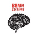 Brain sections. Funny typographic poster. Vector design. Royalty Free Stock Photo
