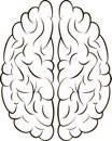 Brain sign icon gyrus mind information and knowledge