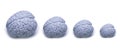 Brain Size Royalty Free Stock Photo