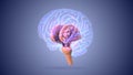 Brain stem or brainstem with medulla Royalty Free Stock Photo
