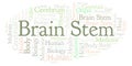 Brain Stem word cloud.