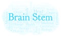 Brain Stem word cloud.