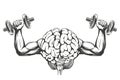 Brain with strong hands, brain training, icon cartoon hand drawn vector illustration sketch Royalty Free Stock Photo