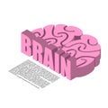 Brain structure of infographics. Brains headache human cortex Royalty Free Stock Photo