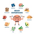 Brain superfoods as educational nutrition diet products to improve memory