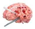 Brain surgery concept. 3D rendering