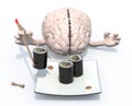 Brain and sushi plate Royalty Free Stock Photo