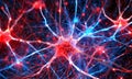 Brain synapses .Neural networks of the human brain