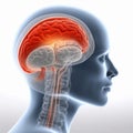 anatomy head brain x-ray pain medicine red headache blue medical. Generative AI. Royalty Free Stock Photo