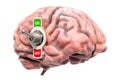 Brain with toggle switch on, 3D rendering Royalty Free Stock Photo