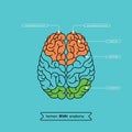 Brain top 1 Royalty Free Stock Photo