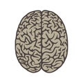 Brain top view illustration object