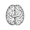 Brain top view Royalty Free Stock Photo