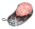 Brain transplant surgery concept. Donor brain in metallic tray w Royalty Free Stock Photo