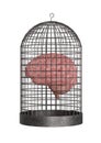 Brain trapped in the cage isolated on white background. Cognitive impairment concept Royalty Free Stock Photo