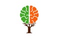 Brain Tree Logo Design Illustration Royalty Free Stock Photo