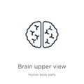 Brain upper view icon. Thin linear brain upper view outline icon isolated on white background from human body parts collection.