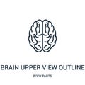 brain upper view outline icon vector from body parts collection. Thin line brain upper view outline outline icon vector