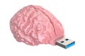 Brain USB flash drive, knowledge concept. 3D illustration Royalty Free Stock Photo