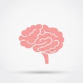 Brain vector icon. Royalty Free Stock Photo