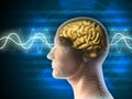 Brain waves Royalty Free Stock Photo