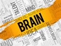 BRAIN word cloud collage Royalty Free Stock Photo