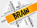 BRAIN word cloud collage Royalty Free Stock Photo