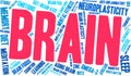 Brain Word Cloud