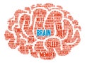 Brain Word Cloud